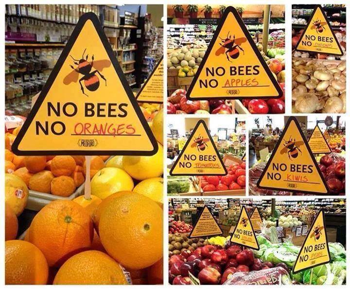pas d'abeille pas de fruit